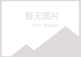 含山县如松会计有限公司